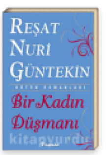 Bir Kadın Düşmanı