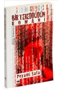 Bir Tereddüdün Romanı