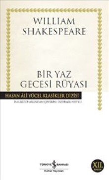 Bi̇r Yaz Gecesi̇ Rüyasi