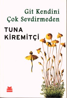 Git Kendini Çok Sevdirmeden