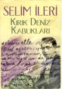 Kırık Deniz Kabukları