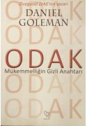 Odak Mükemmelliğin Gizli Anahtarı