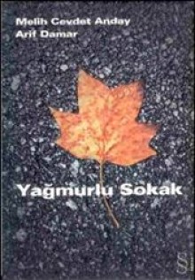 Yağmurlu Sokaklar